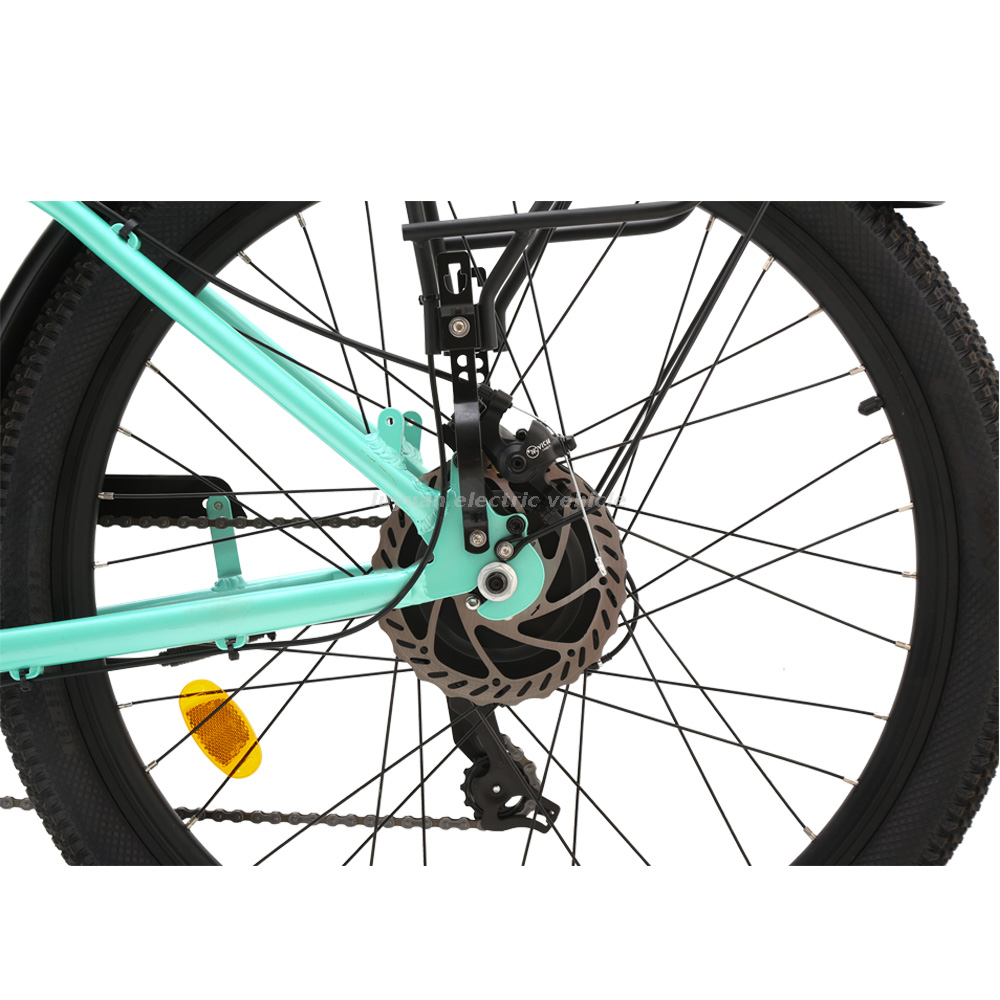 Sepeda Listrik EC 01M Lite